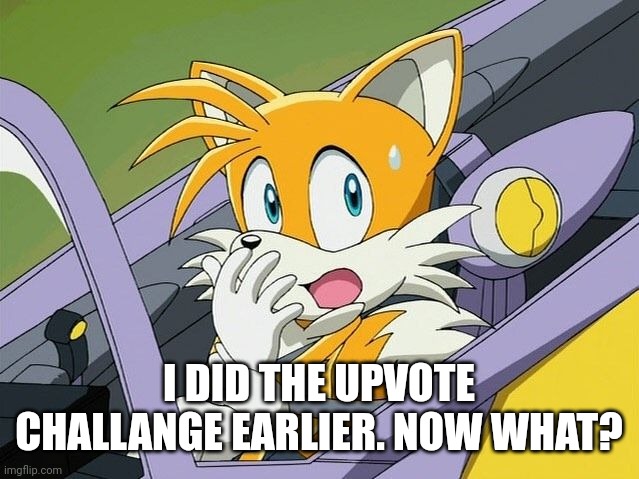 I DID THE UPVOTE CHALLANGE EARLIER. NOW WHAT? | image tagged in tails | made w/ Imgflip meme maker