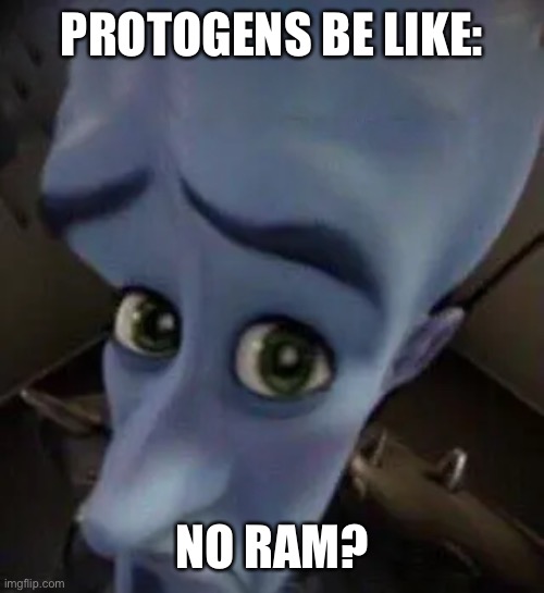 It’s the truth lol | PROTOGENS BE LIKE:; NO RAM? | image tagged in megamind no b | made w/ Imgflip meme maker