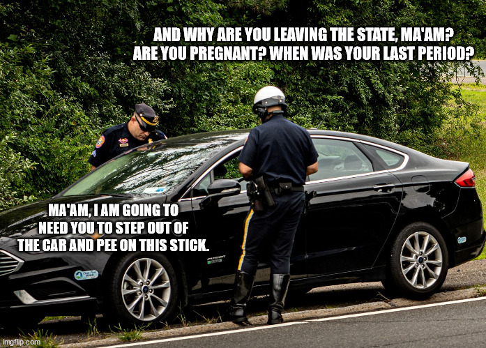 AND WHY ARE YOU LEAVING THE STATE, MA'AM? ARE YOU PREGNANT? WHEN WAS YOUR LAST PERIOD? MA'AM, I AM GOING TO NEED YOU TO STEP OUT OF THE CAR AND PEE ON THIS STICK. | made w/ Imgflip meme maker