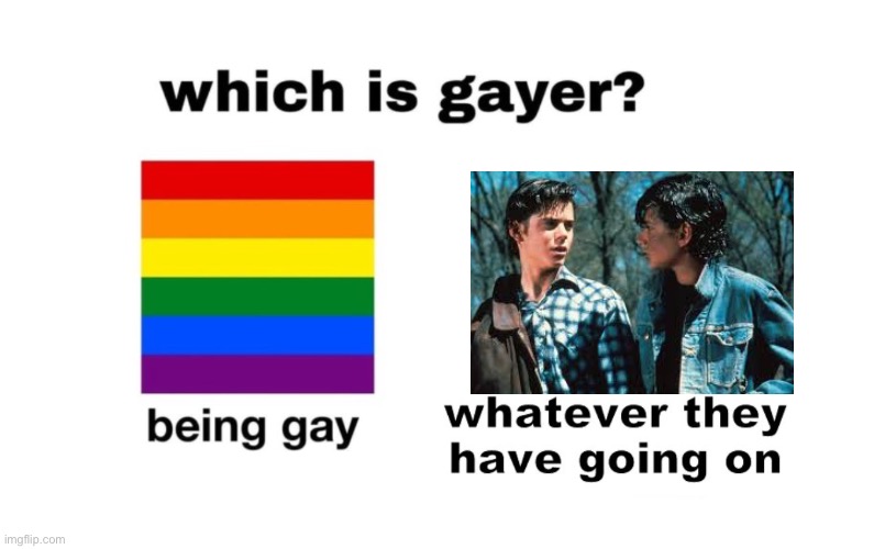 Image tagged in which is gayer - Imgflip