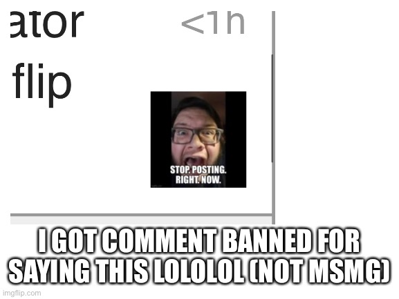LIKE MAD LOL | I GOT COMMENT BANNED FOR SAYING THIS LOLOLOL (NOT MSMG) | image tagged in ban,memes,u mad bro,snowflake | made w/ Imgflip meme maker
