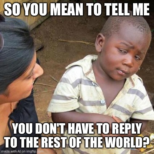 No? | SO YOU MEAN TO TELL ME; YOU DON'T HAVE TO REPLY TO THE REST OF THE WORLD? | image tagged in memes,third world skeptical kid | made w/ Imgflip meme maker