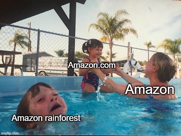 Amazon | Amazon.com; Amazon; Amazon rainforest | image tagged in drowning kid in the pool | made w/ Imgflip meme maker