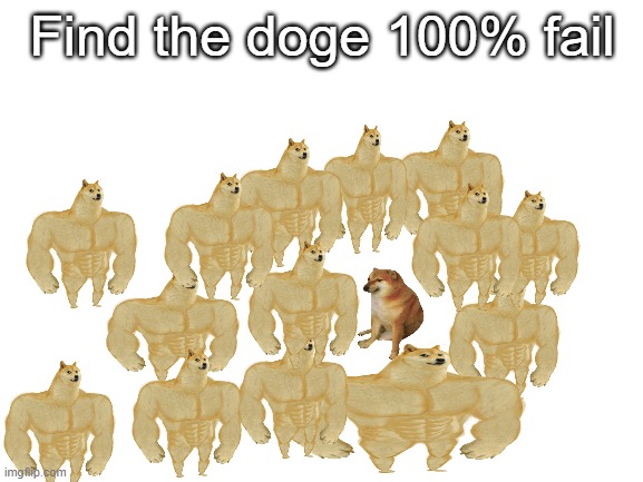 Doge | Find the doge 100% fail | image tagged in blank white template | made w/ Imgflip meme maker