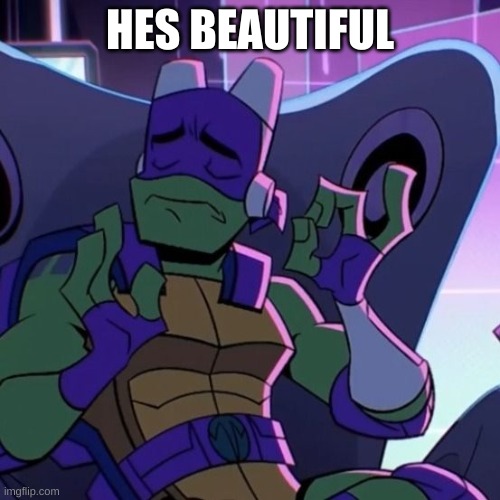 turtle | HES BEAUTIFUL | image tagged in turtle | made w/ Imgflip meme maker