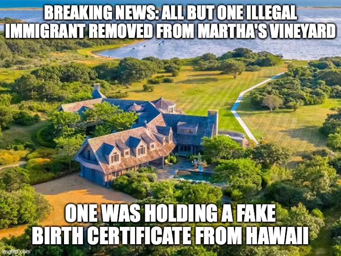 BREAKING NEWS: ALL BUT ONE ILLEGAL IMMIGRANT REMOVED FROM MARTHA'S VINEYARD; ONE WAS HOLDING A FAKE BIRTH CERTIFICATE FROM HAWAII | image tagged in martha's vineyard,obama,illegal immigration | made w/ Imgflip meme maker