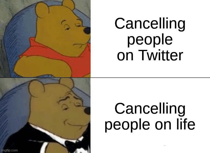 When you say anything about the new litle mer- | Cancelling people on Twitter; Cancelling people on life | image tagged in memes,tuxedo winnie the pooh | made w/ Imgflip meme maker
