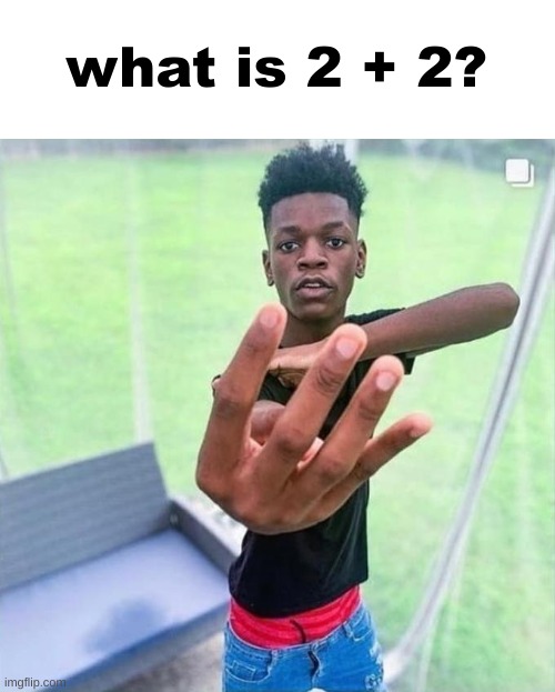 Guy holding up 4 | what is 2 + 2? | image tagged in guy holding up 4 | made w/ Imgflip meme maker