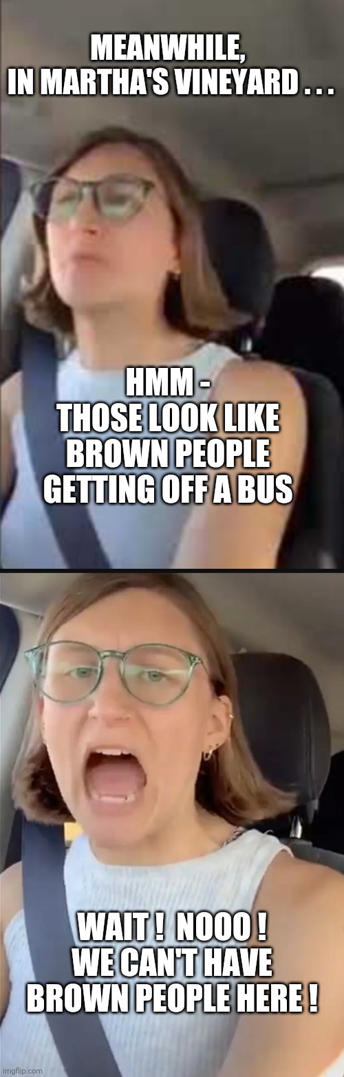 Border Meltdown |  MEANWHILE, 
IN MARTHA'S VINEYARD . . . HMM -
THOSE LOOK LIKE BROWN PEOPLE GETTING OFF A BUS; WAIT !  NOOO !
WE CAN'T HAVE BROWN PEOPLE HERE ! | image tagged in liberals,leftists,democrats,vineyard,bus,biden | made w/ Imgflip meme maker