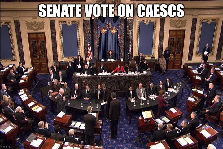 Senate floor | SENATE VOTE ON CAESCS | image tagged in senate floor | made w/ Imgflip meme maker