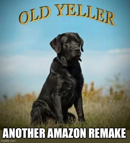 Wokeism is trash | ANOTHER AMAZON REMAKE | image tagged in black old yeller | made w/ Imgflip meme maker