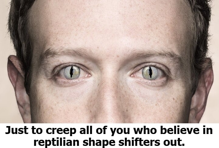 The Reptilian Shape Shifters Are HERE! | image tagged in reptilians,snake eyes,tinfoil hat,tinfoil hat crowd,mark zuckerberg blank sign,zuckerberg | made w/ Imgflip meme maker