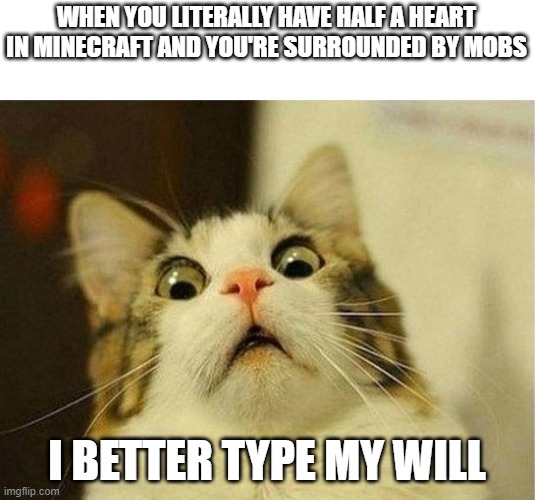 I am about to die!!!!!! | WHEN YOU LITERALLY HAVE HALF A HEART IN MINECRAFT AND YOU'RE SURROUNDED BY MOBS; I BETTER TYPE MY WILL | image tagged in memes,scared cat | made w/ Imgflip meme maker