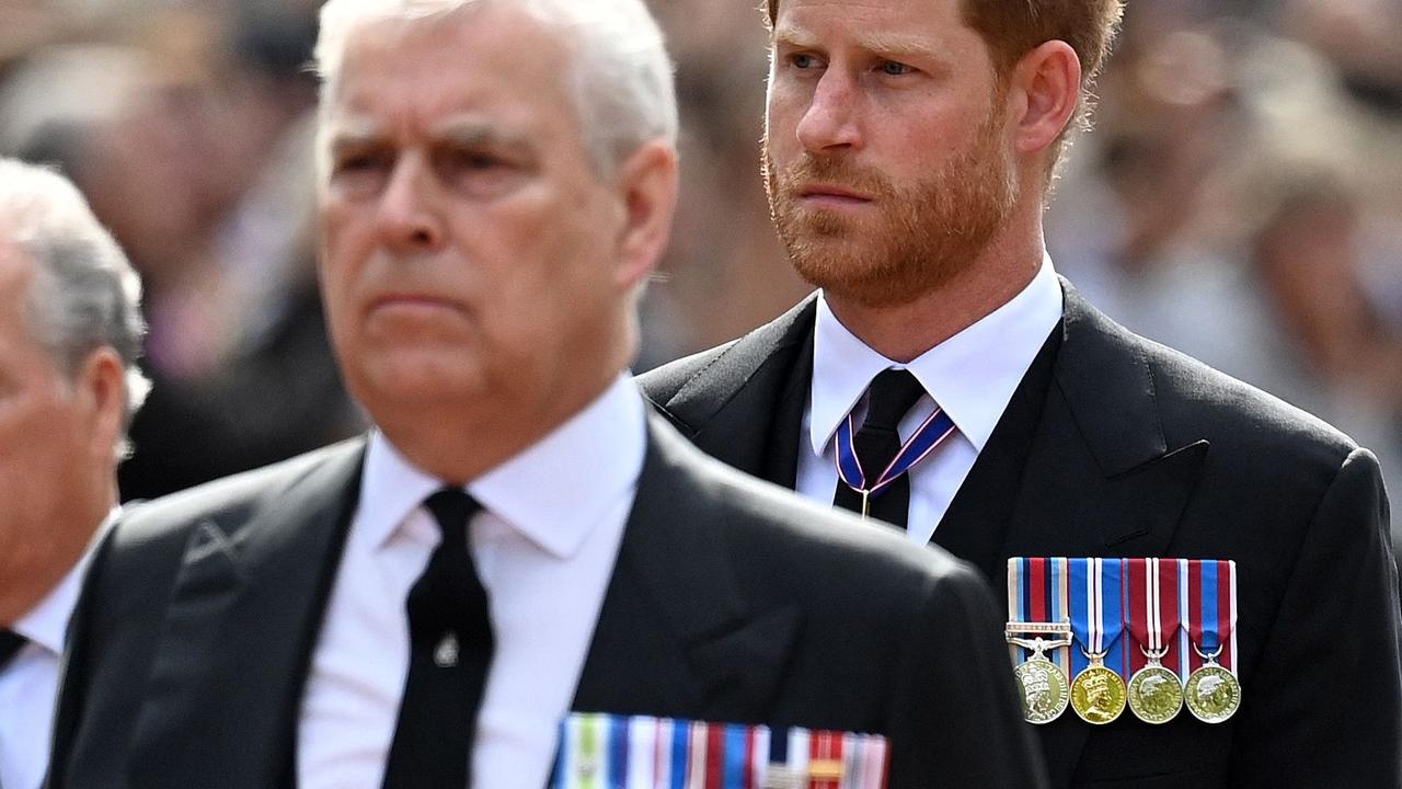 Prince Andrew and Prince Harry Blank Meme Template
