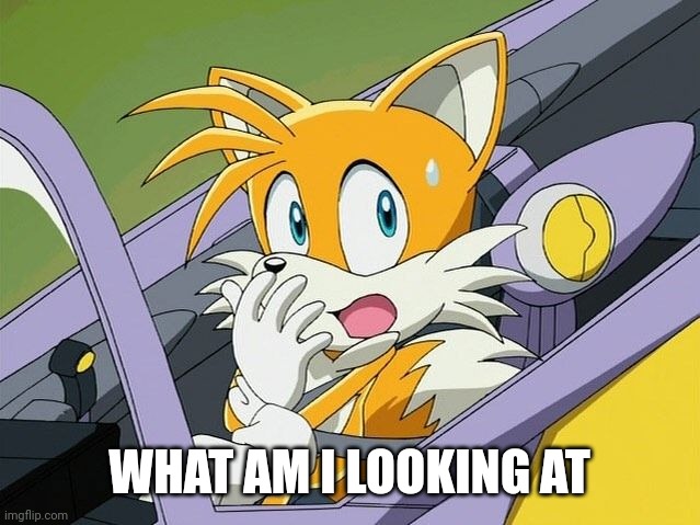 WHAT AM I LOOKING AT | image tagged in tails | made w/ Imgflip meme maker