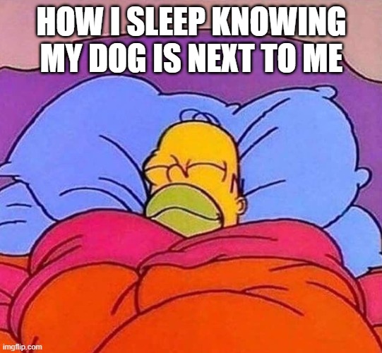 Homer Simpson sleeping peacefully | HOW I SLEEP KNOWING MY DOG IS NEXT TO ME | image tagged in homer simpson sleeping peacefully | made w/ Imgflip meme maker