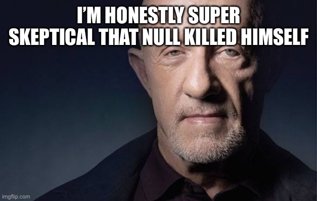 Kid Named | I’M HONESTLY SUPER SKEPTICAL THAT NULL KILLED HIMSELF | image tagged in kid named | made w/ Imgflip meme maker