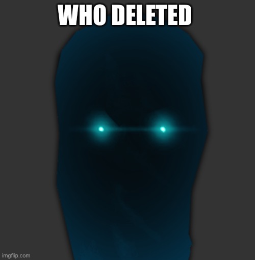 I lost 2 followers | WHO DELETED | image tagged in halt | made w/ Imgflip meme maker