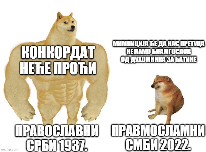 Big dog small dog | МИМЛИЦИЈА ЋЕ ДА НАС ПРЕТУЦА
НЕМАМО БЛАМГОСЛОВ ОД ДУХОМНИКА ЗА БАТИНЕ; КОНКОРДАТ НЕЋЕ ПРОЋИ; ПРАВМОСЛАМНИ СМБИ 2022. ПРАВОСЛАВНИ СРБИ 1937. | image tagged in big dog small dog | made w/ Imgflip meme maker