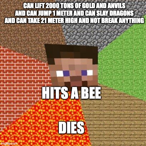 Minecraft Steve | CAN LIFT 2000 TONS OF GOLD AND ANVILS AND CAN JUMP 1 METER AND CAN SLAY DRAGONS AND CAN TAKE 21 METER HIGH AND NOT BREAK ANYTHING; HITS A BEE; DIES | image tagged in minecraft steve | made w/ Imgflip meme maker
