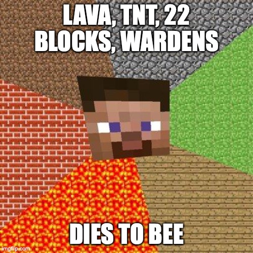 Minecraft Steve | LAVA, TNT, 22 BLOCKS, WARDENS; DIES TO BEE | image tagged in minecraft steve | made w/ Imgflip meme maker