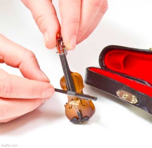 Tiny violin  | image tagged in tiny violin | made w/ Imgflip meme maker