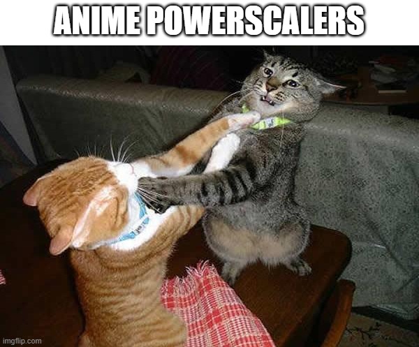 Thats why u don't powerscale | ANIME POWERSCALERS | image tagged in two cats fighting for real | made w/ Imgflip meme maker