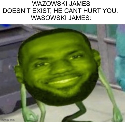 AHHH!! | WAZOWSKI JAMES DOESN’T EXIST, HE CANT HURT YOU. 
WASOWSKI JAMES: | image tagged in scary,wasowski james | made w/ Imgflip meme maker