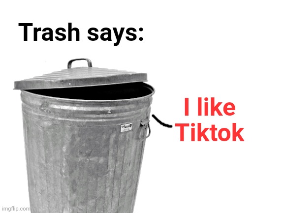 This is just a joke btw | Trash says:; I like Tiktok | made w/ Imgflip meme maker