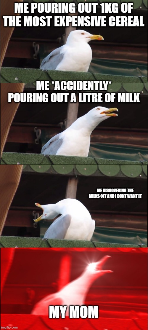 Life | ME POURING OUT 1KG OF THE MOST EXPENSIVE CEREAL; ME *ACCIDENTLY* POURING OUT A LITRE OF MILK; ME DISCOVERING THE MILKS OFF AND I DONT WANT IT; MY MOM | image tagged in memes,inhaling seagull | made w/ Imgflip meme maker