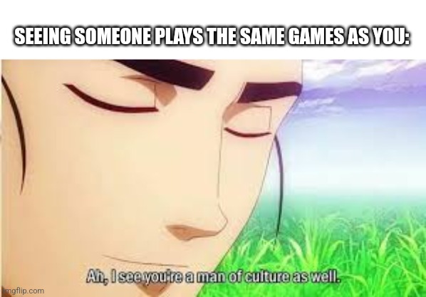 Ah,I see you are a man of culture as well | SEEING SOMEONE PLAYS THE SAME GAMES AS YOU: | image tagged in ah i see you are a man of culture as well | made w/ Imgflip meme maker