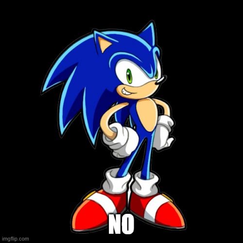 You're Too Slow Sonic Meme | NO | image tagged in memes,you're too slow sonic | made w/ Imgflip meme maker