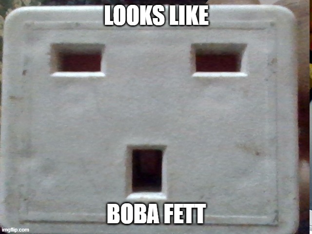 It's True | LOOKS LIKE; BOBA FETT | image tagged in boba fett | made w/ Imgflip meme maker