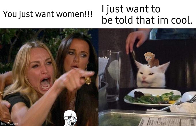 when women yell at cats | You just want women!!! I just want to be told that im cool. | image tagged in memes,woman yelling at cat | made w/ Imgflip meme maker