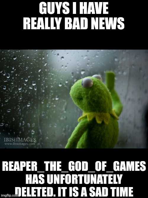 kermit window | GUYS I HAVE REALLY BAD NEWS; REAPER_THE_GOD_OF_GAMES HAS UNFORTUNATELY DELETED. IT IS A SAD TIME | image tagged in kermit window | made w/ Imgflip meme maker