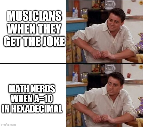 Surprised Joey | MUSICIANS WHEN THEY GET THE JOKE MATH NERDS WHEN A=10 IN HEXADECIMAL | image tagged in surprised joey | made w/ Imgflip meme maker