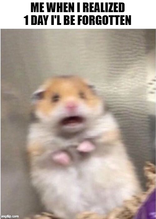i'm gonna get forgorred | ME WHEN I REALIZED 1 DAY I'L BE FORGOTTEN | image tagged in scared hamster,forgotten | made w/ Imgflip meme maker