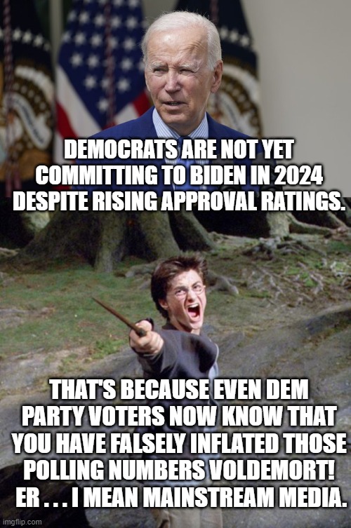 Eventually even a percentage of Dem Party voters catch onto the cynical manipulation of polling numbers. | DEMOCRATS ARE NOT YET COMMITTING TO BIDEN IN 2024 DESPITE RISING APPROVAL RATINGS. THAT'S BECAUSE EVEN DEM PARTY VOTERS NOW KNOW THAT YOU HAVE FALSELY INFLATED THOSE POLLING NUMBERS VOLDEMORT!  ER . . . I MEAN MAINSTREAM MEDIA. | image tagged in voldemort | made w/ Imgflip meme maker