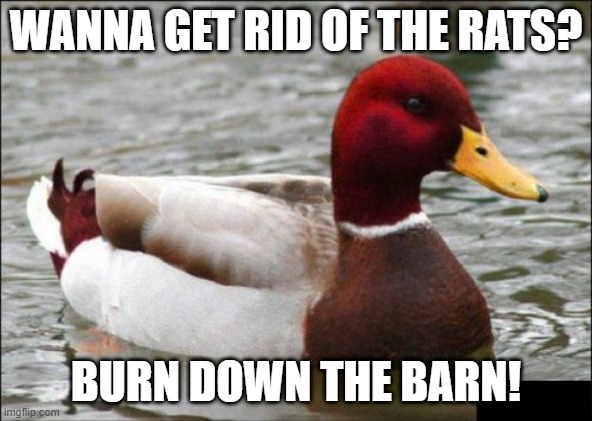 Best Advice Mallard | WANNA GET RID OF THE RATS? BURN DOWN THE BARN! | image tagged in memes,malicious advice mallard,barnburners | made w/ Imgflip meme maker