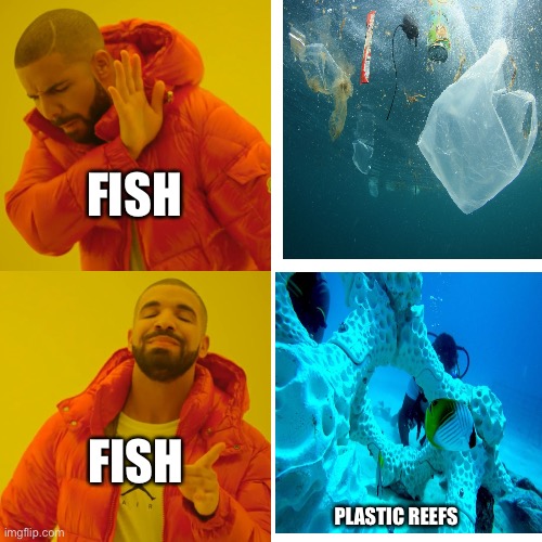 Fr No ? Tbh ngl | FISH; FISH; PLASTIC REEFS | image tagged in memes,drake hotline bling | made w/ Imgflip meme maker