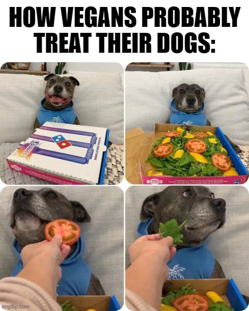 At least let them have meat | HOW VEGANS PROBABLY TREAT THEIR DOGS: | image tagged in vegans,dogs,meat,pizza,funny,memes | made w/ Imgflip meme maker