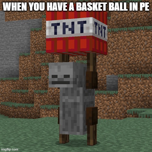 throw it | WHEN YOU HAVE A BASKET BALL IN PE | image tagged in tnt,sport | made w/ Imgflip meme maker