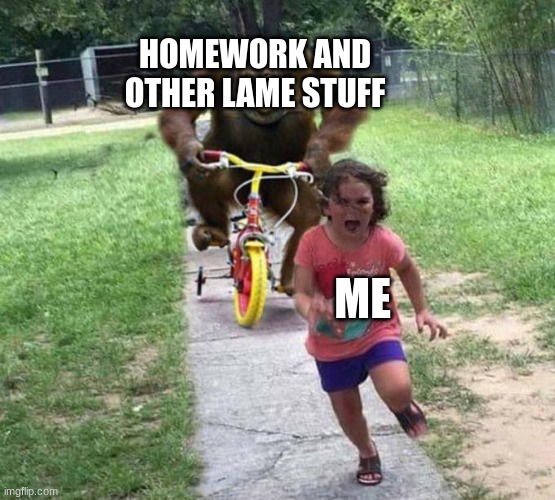 AAAHHHHHH | HOMEWORK AND OTHER LAME STUFF; ME | image tagged in orangutan chasing kid on tricycle | made w/ Imgflip meme maker