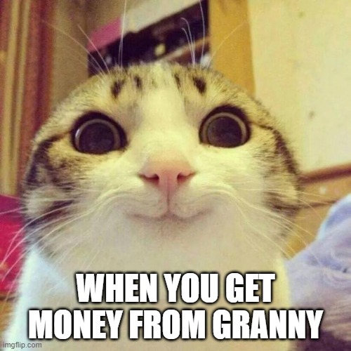 thank you for money | WHEN YOU GET MONEY FROM GRANNY | image tagged in memes,smiling cat | made w/ Imgflip meme maker