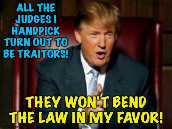 They rule by the book instead of favoring me!  What's with them?  The Special Master is just the latest! | ALL THE JUDGES I HANDPICK TURN OUT TO BE TRAITORS! THEY WON'T BEND THE LAW IN MY FAVOR! | image tagged in donald trump | made w/ Imgflip meme maker
