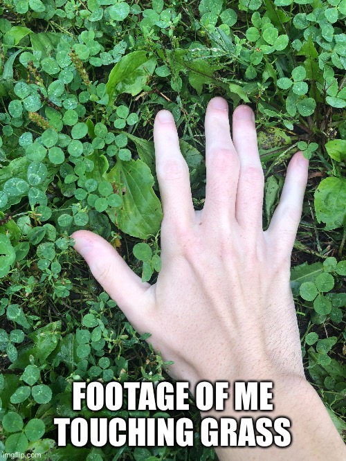 FOOTAGE OF ME TOUCHING GRASS | made w/ Imgflip meme maker