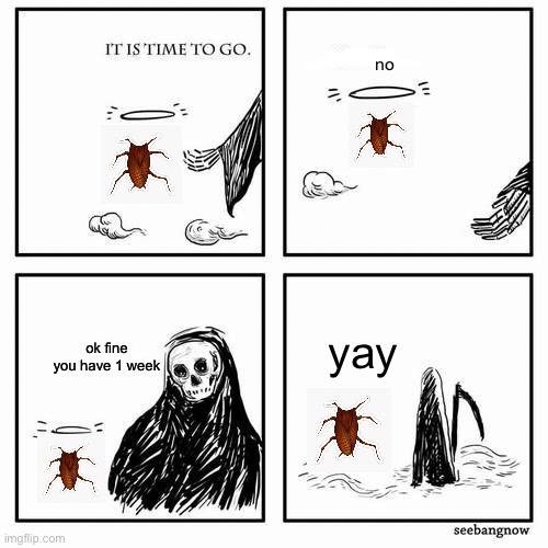headless cockroach |  no; yay; ok fine you have 1 week | image tagged in it is time to go | made w/ Imgflip meme maker