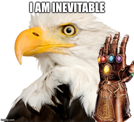 boid |  I AM INEVITABLE | image tagged in boid,eagle,thanos | made w/ Imgflip meme maker