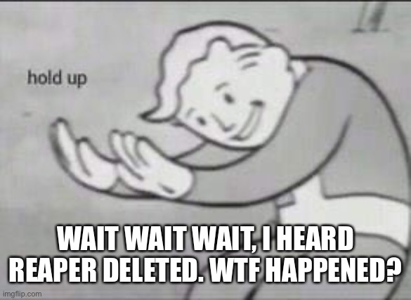 Fallout Hold Up | WAIT WAIT WAIT, I HEARD REAPER DELETED. WTF HAPPENED? | image tagged in fallout hold up | made w/ Imgflip meme maker