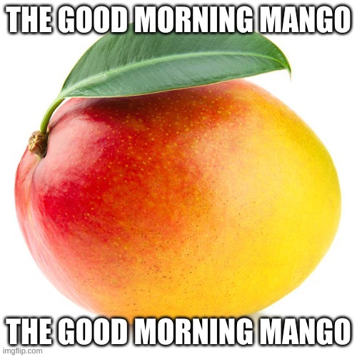 The Good Morning Mango | THE GOOD MORNING MANGO; THE GOOD MORNING MANGO | image tagged in the good morning mango | made w/ Imgflip meme maker